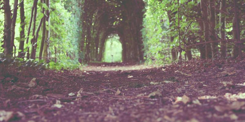 2024年端午节粽子礼盒挑选指南：从糯米品质到文化内涵的深度解析