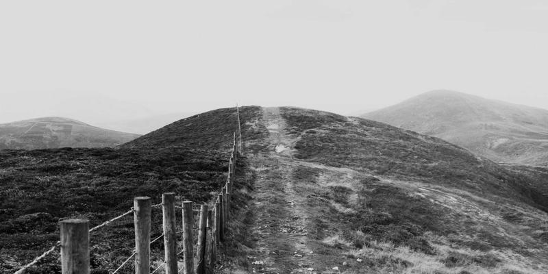 从宫廷御膳到民间小吃：粽子的千年阶级跨越与节日礼品演变