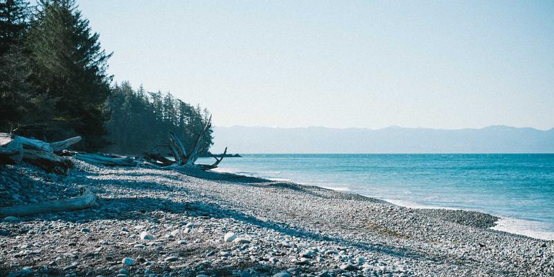 从家庭手作到中央厨房：探寻粽子产业化中的工艺与口味平衡之道