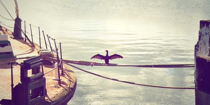 企业定制粽子礼盒攻略：将品牌文化巧妙融入传统节日礼品