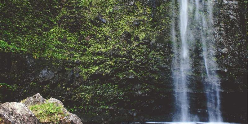 健康粽子新选择：低糖低脂粽子制作方法与创意食谱