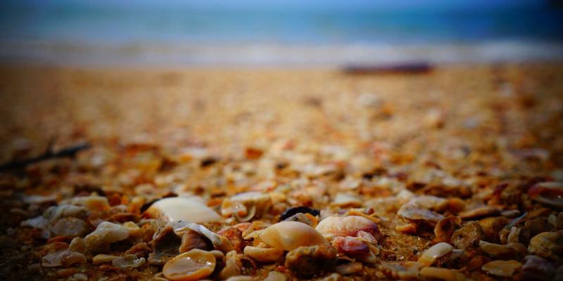 冷冻粽子选购与复热全攻略：三招让速食糯米粽还原现煮风味与文化韵味