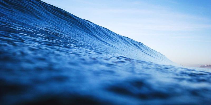 端午节新食尚：粽叶糯米与葡萄酒的完美邂逅，解锁中西合璧的味觉密码