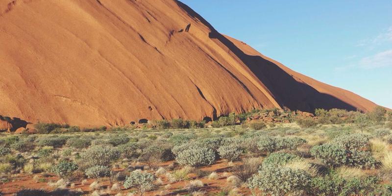 粽叶包裹的文化密码：解码粽子甜咸之争背后的地理人文与口味偏好