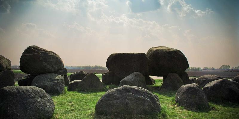 粽叶新生：从端午节节日礼品包装到可持续生活的乡土记忆