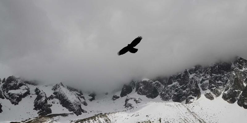 粽叶沙沙声与蒸煮香气：传统食品营销中的感官密码与消费心理学