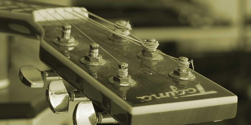 粽叶的植物学密码：从箬竹到芦苇，揭秘叶片如何塑造端午传统食品的风味与文化