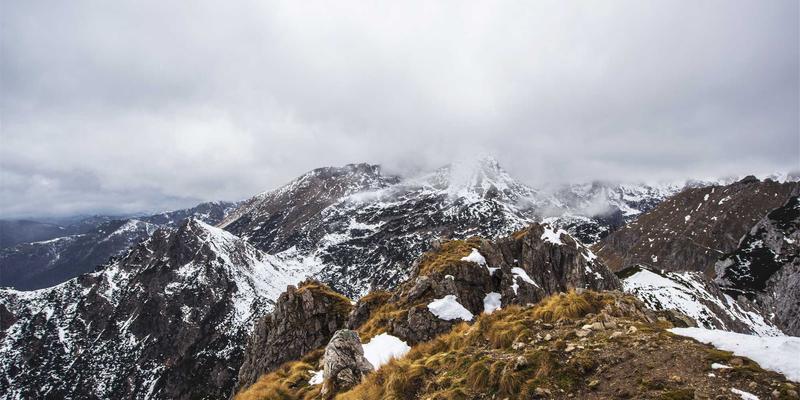 粽叶飘香：从文化传承到亲手制作，解锁端午美食的深层魅力