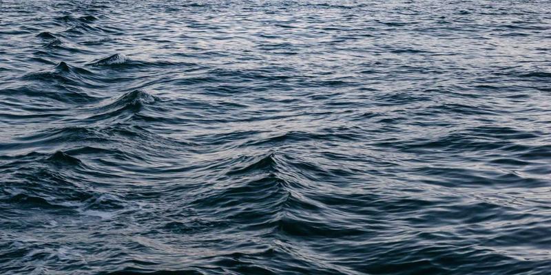 粽叶飘香：从糯米到文化符号，一枚粽子的千年传承