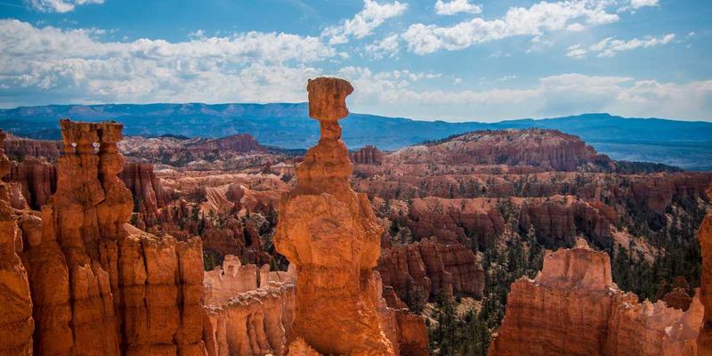 粽叶飘香:从糯米到文化符号的千年传承