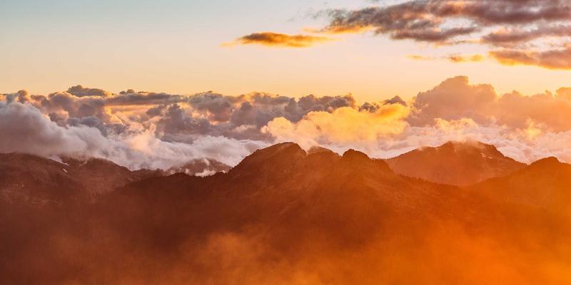 粽子6：传统美食的现代魅力与粽叶包裹的千年风味