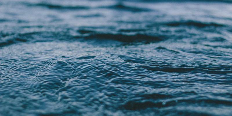 粽子72：解码传统食品的文化密码与节日礼品新内涵