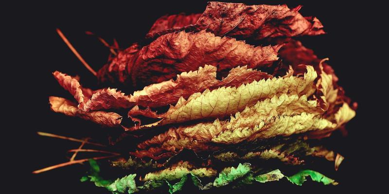 粽子攻略：从舌尖美食到文化传承，解锁端午节的正确打开方式