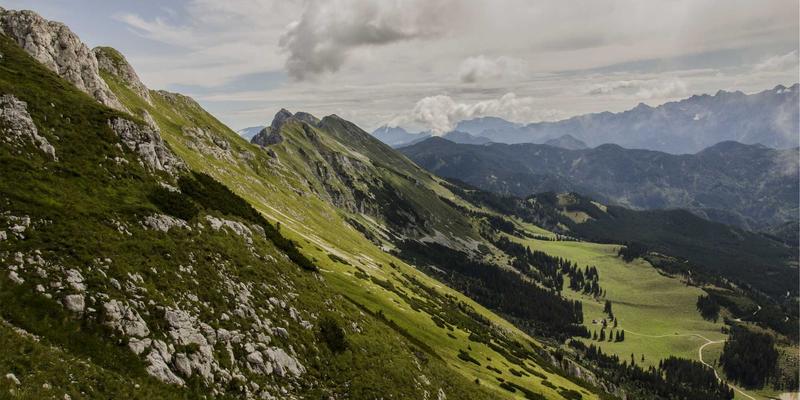 粽子:穿越千年的传统食品,焕发新生的节日礼品