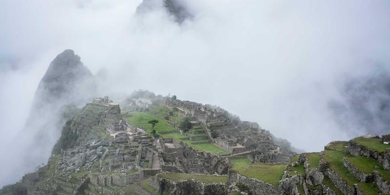 粽子造型艺术：超越三角形，探索创意造型粽的美学与工艺