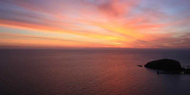粽香千年：从端午节俗到日常餐桌的传统美食之旅