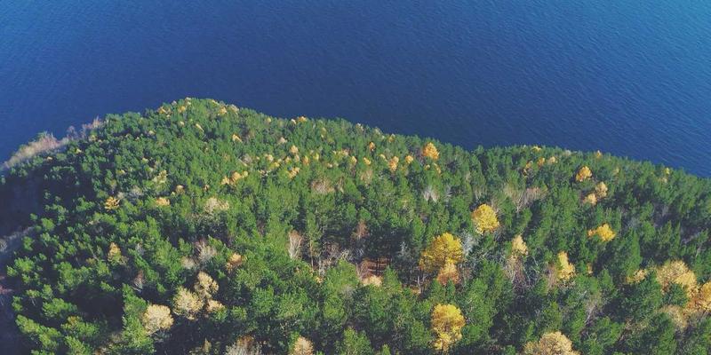 粽香千年：从糯米到美食的艺术，探寻粽子的文化密码与味觉盛宴